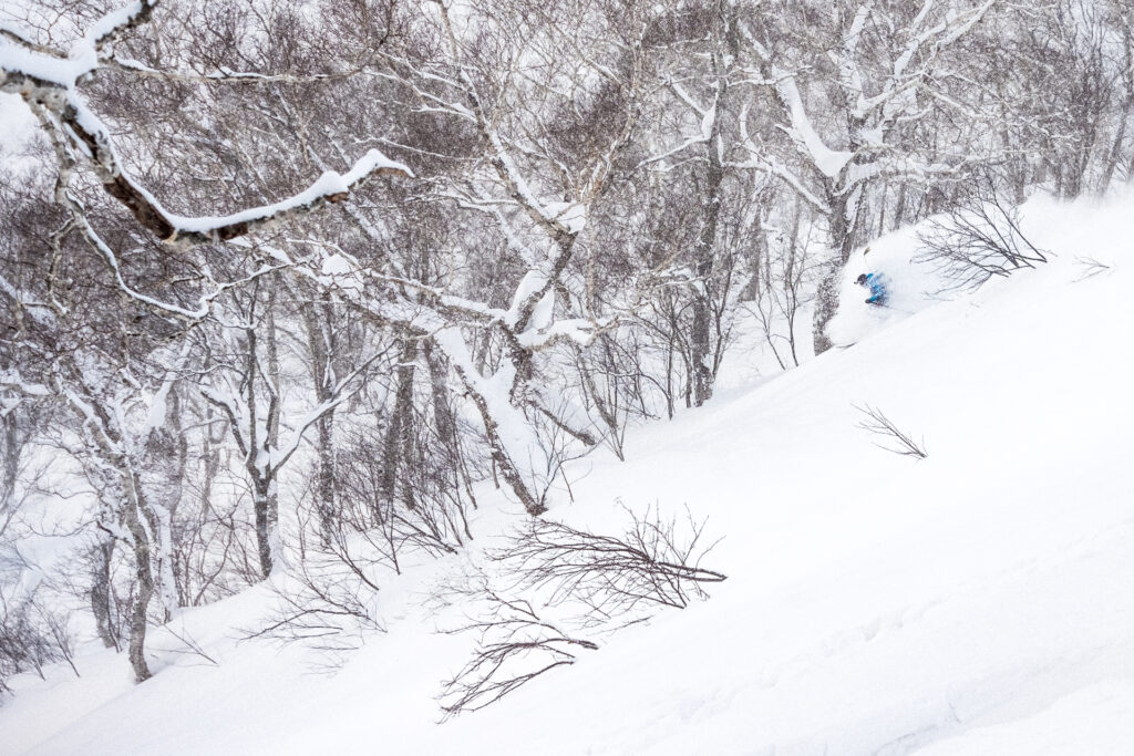 #JAPOW — zdjęcie 1