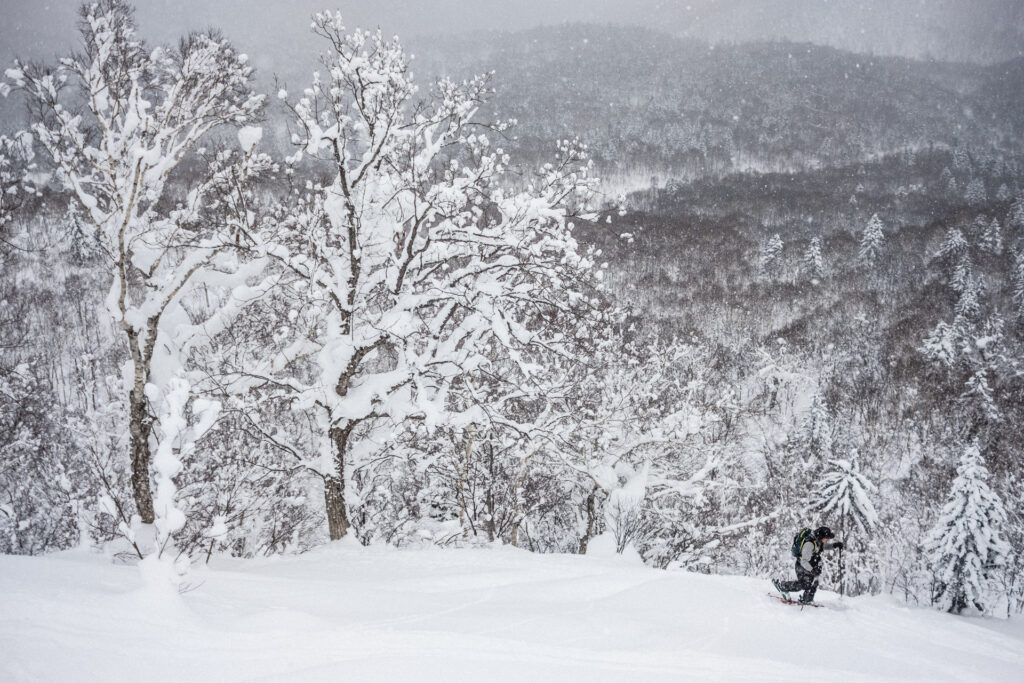 #JAPOW — zdjęcie 4