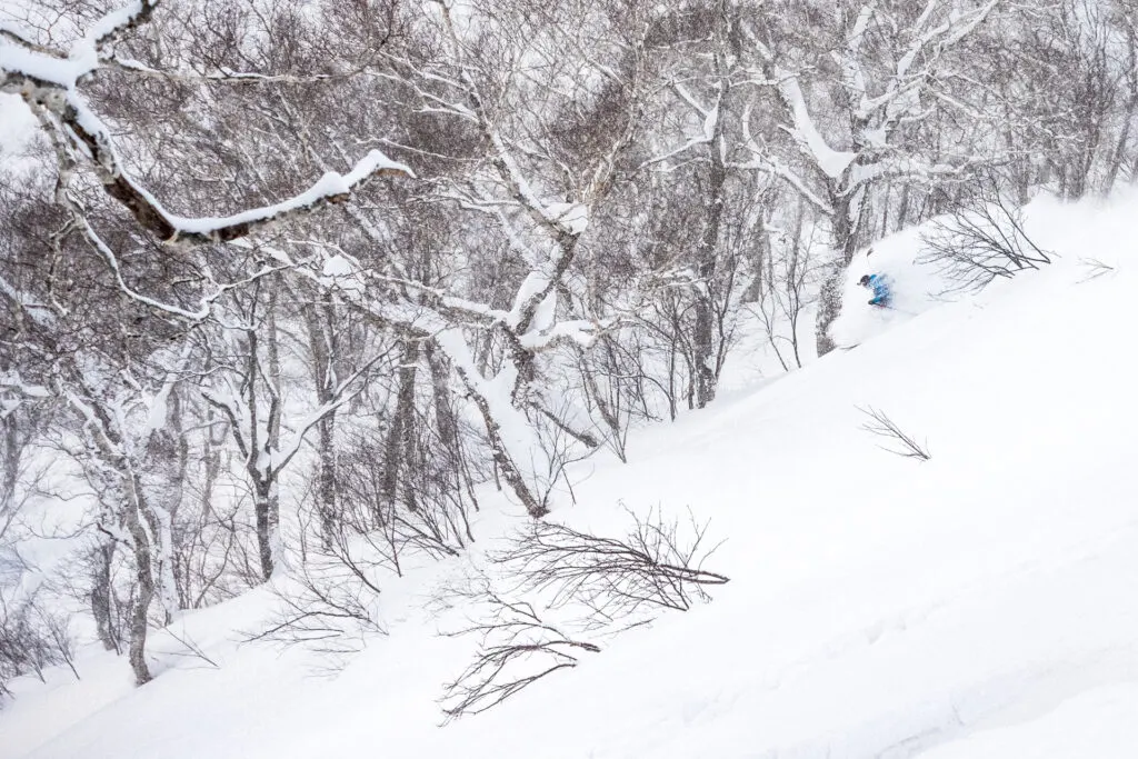 #JAPOW — zdjęcie 1