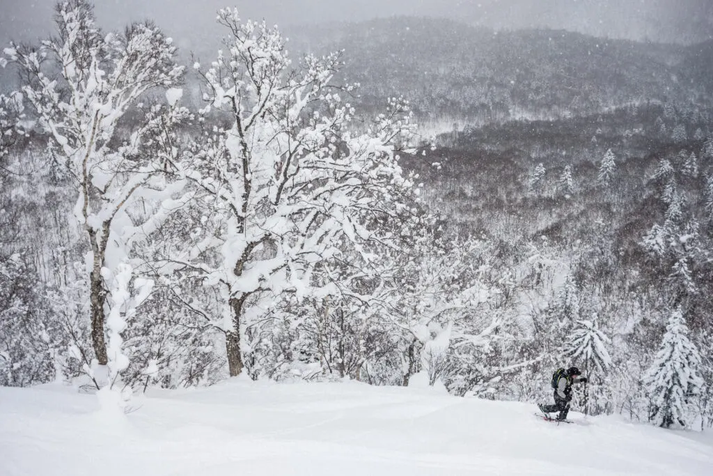 #JAPOW — zdjęcie 4