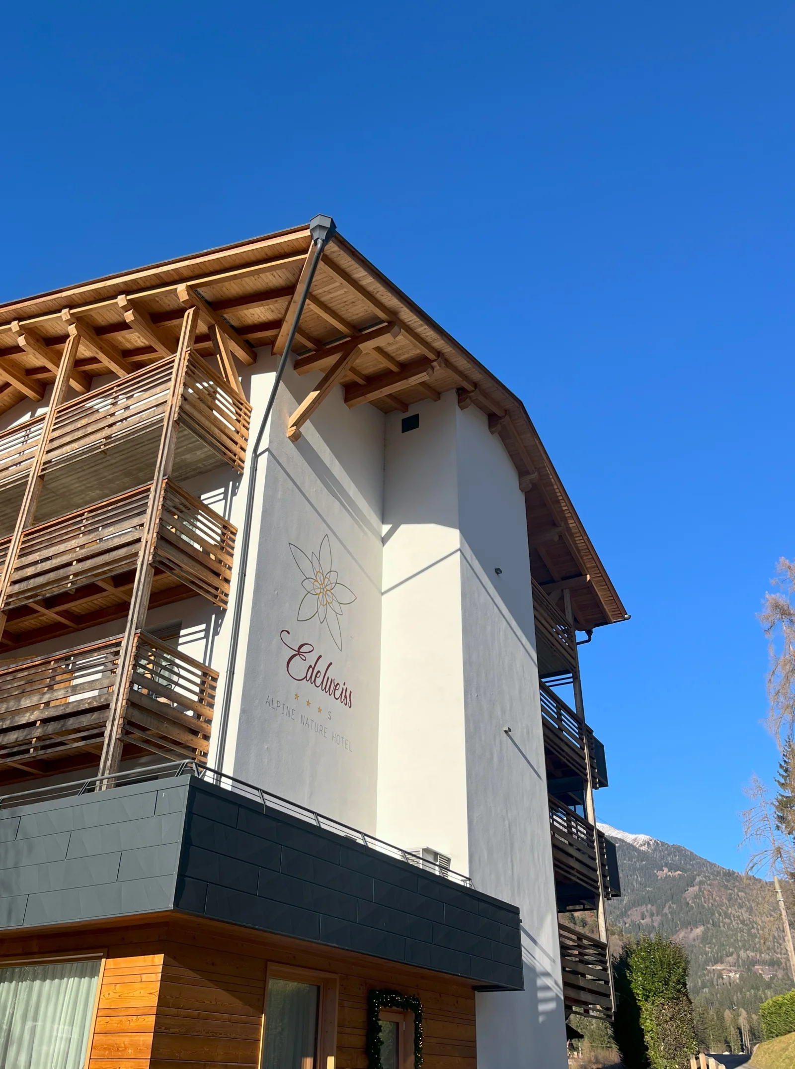Hotel Edelweiss *** S — zdjęcie 1