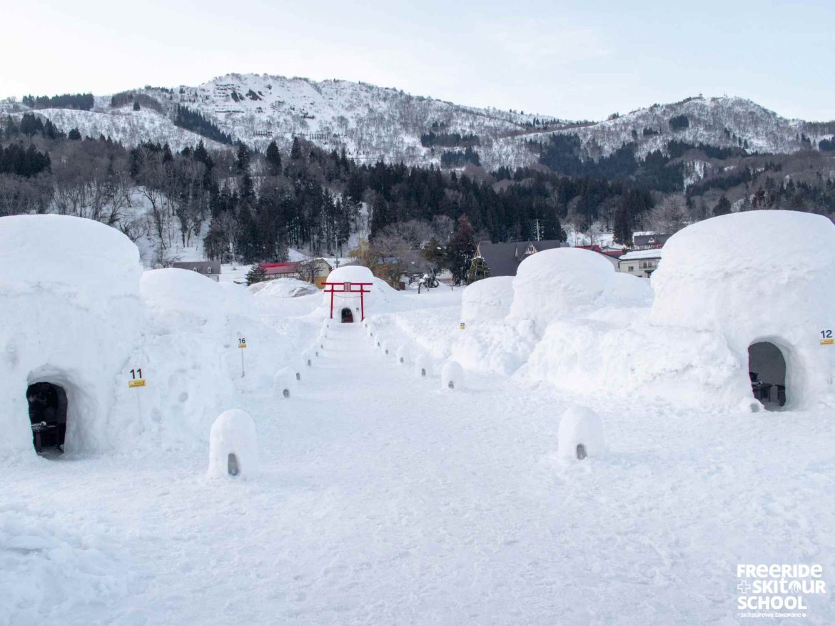 Japonia Freeride Safari — zdjęcie 1