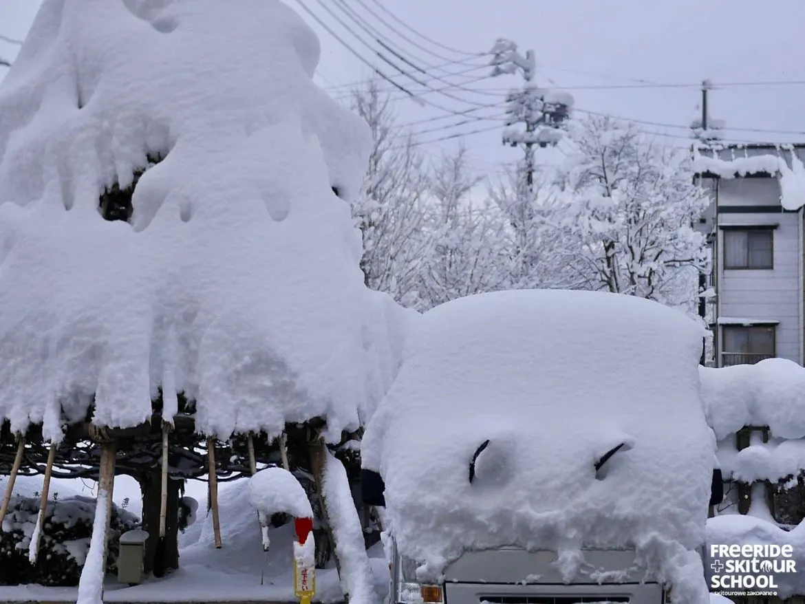 Japonia Freeride Safari — zdjęcie 3