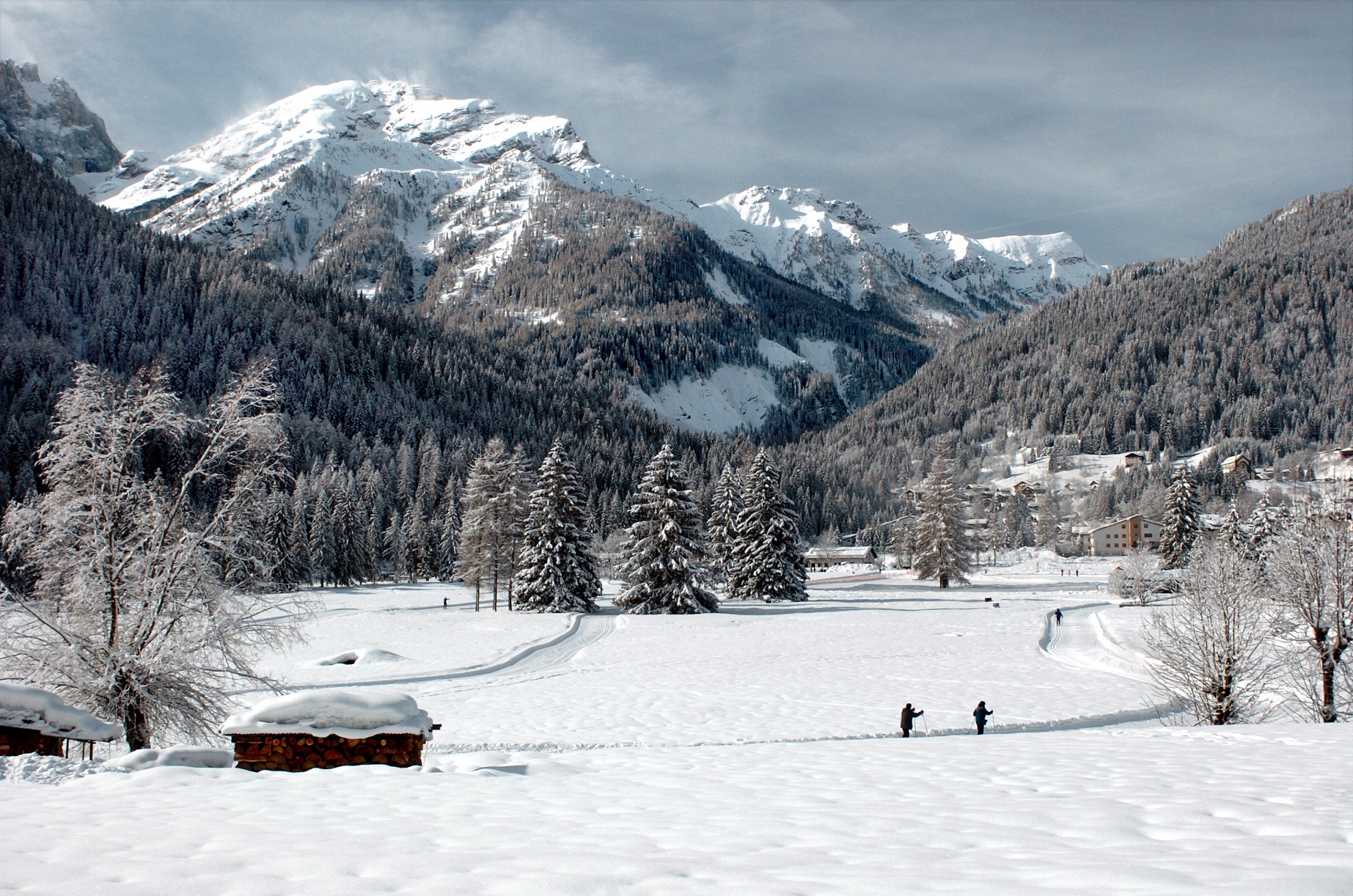 San Pellegrino – Falcade – Alpe Lusia — zdjęcie 5