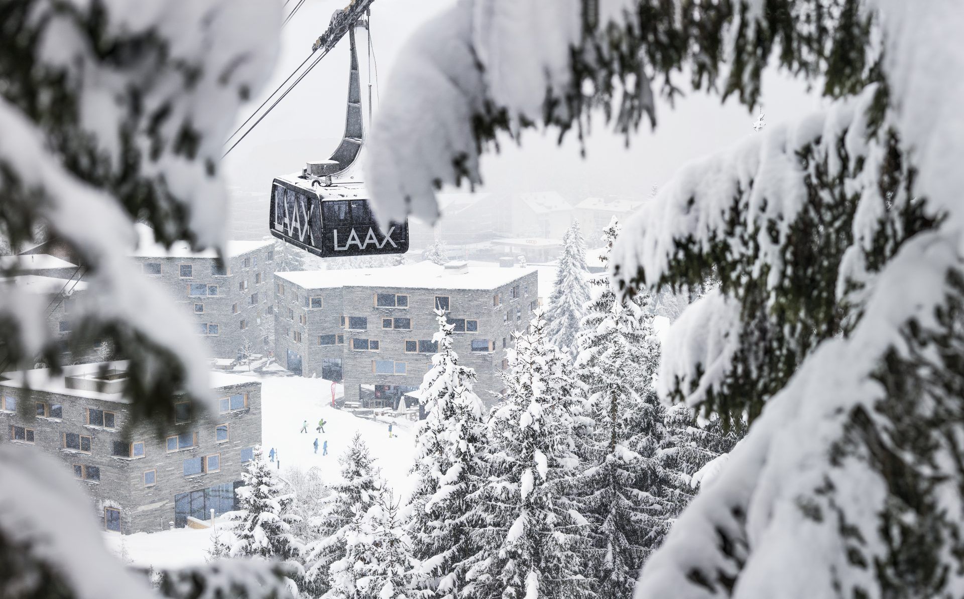 PURE LAAX #3 — zdjęcie 2